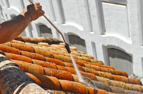 Nettoyage de toitures - Les Sauvages